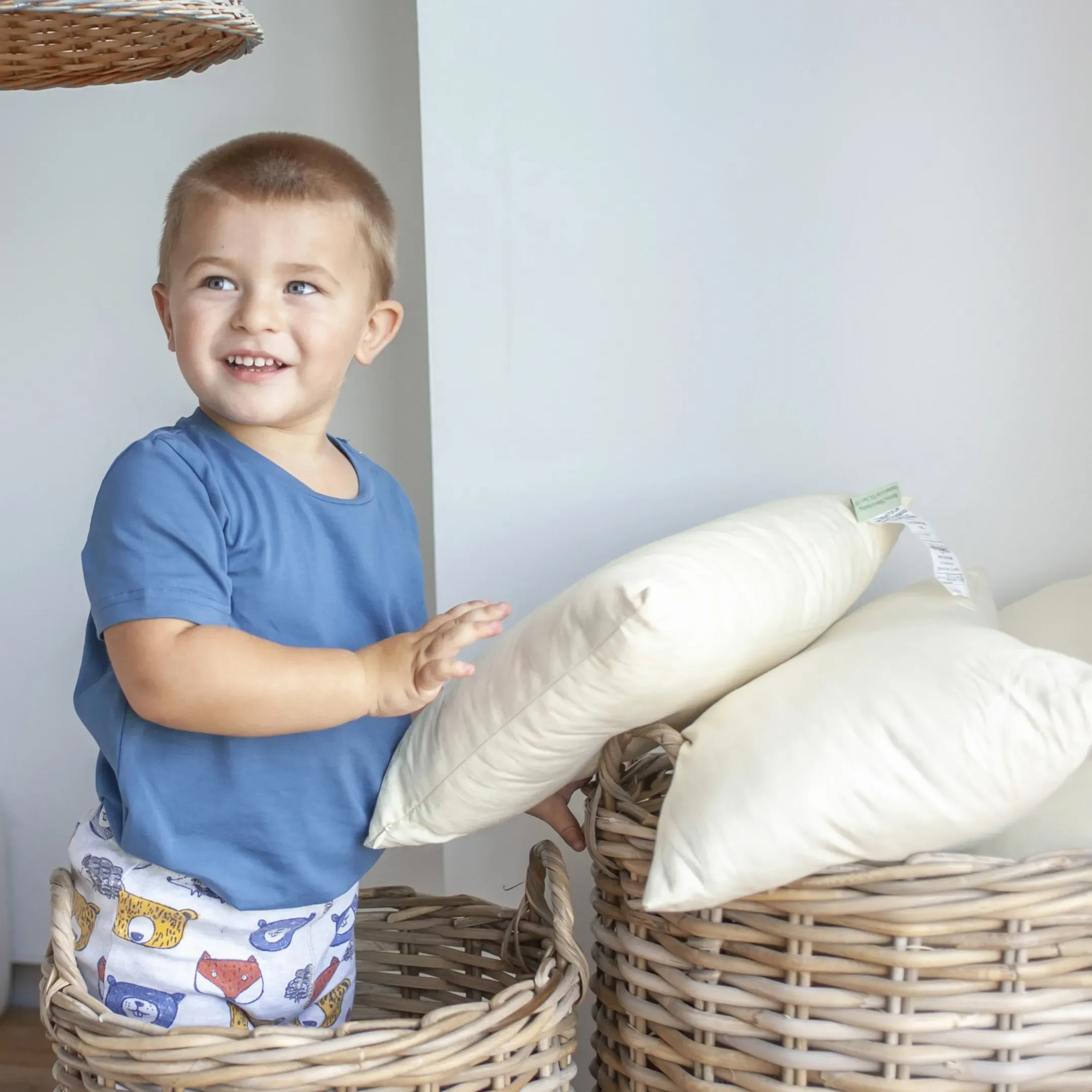 Toddler Pillows