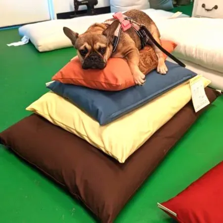Cotton Pet Beds with Covers