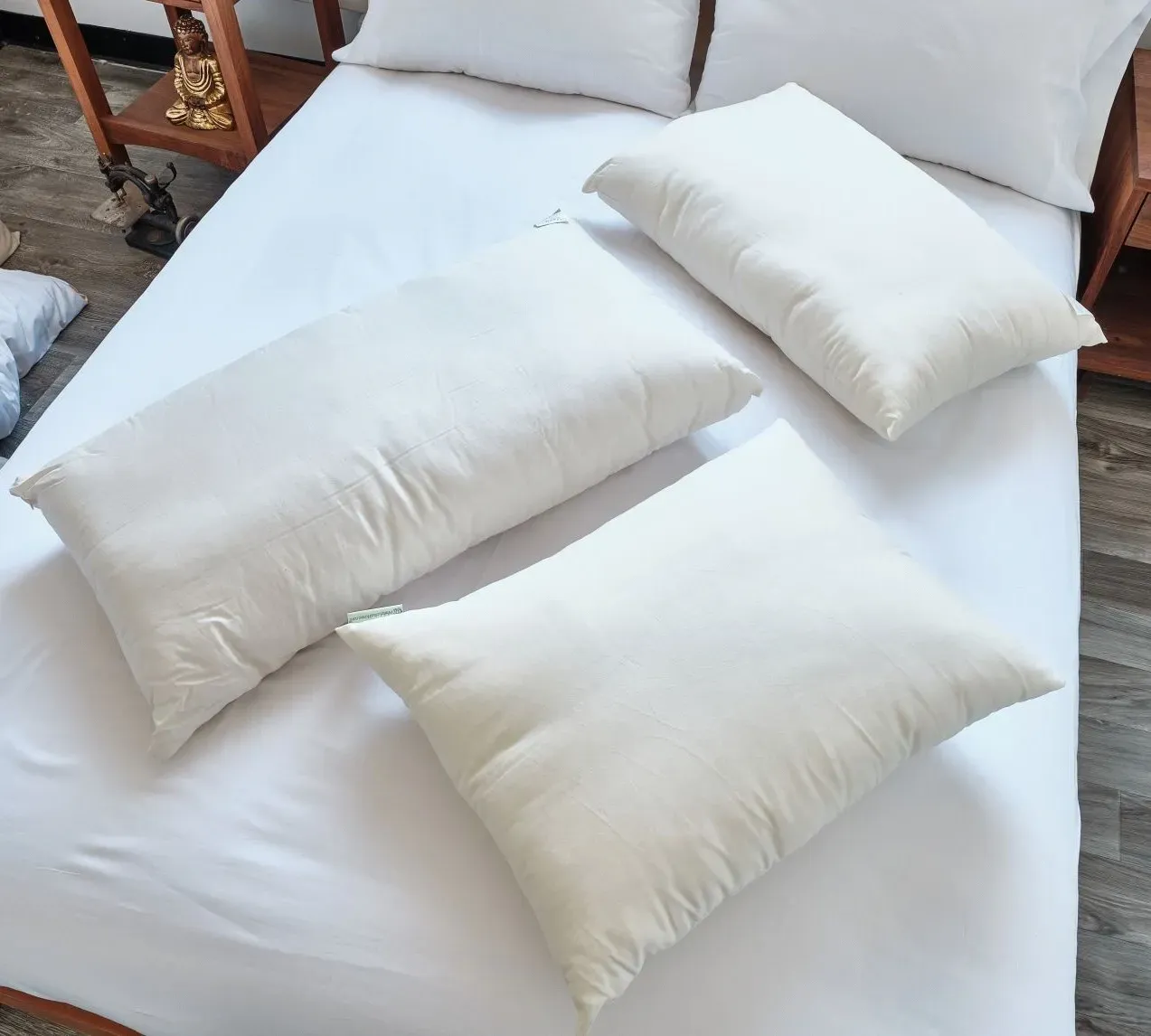 Organic Pillows
