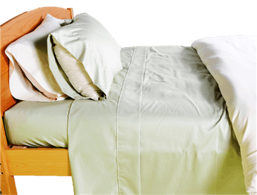 White Lotus Home 100% Cotton Sheets in SAGE White Lotus Home 100% Cotton Sheets in SAGE