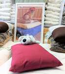 Pet Bed Covers Only - Organic Cotton