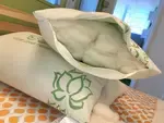 White Lotus Home Waterproof Organic Wool Pillows