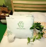 Waterproof Wool Pillows
